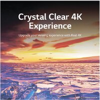 LG UQ81 65UQ81006LB Image #5