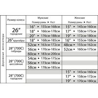 Stinger Barcelona STD р.19 2021 Image #2