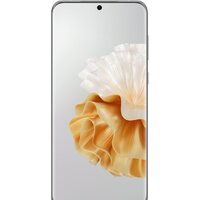 Huawei P60 Pro MNA-LX9 Single SIM 12GB/512GB (жемчужина рококо) Image #7