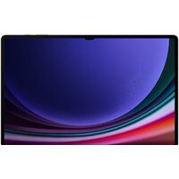 Samsung Galaxy Tab S9 Ultra 5G SM-X916 12GB/256GB (кремовый) Image #2