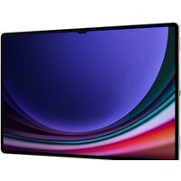 Samsung Galaxy Tab S9 Ultra 5G SM-X916 12GB/256GB (кремовый) Image #15