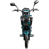 NOVA EC03 (зеленый, без цепи) Image #4