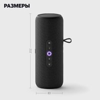 Яндекс Станция Стрит (черный) Image #21