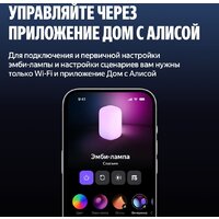 Яндекс YNDX-00560 Image #12