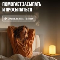 Яндекс YNDX-00560 Image #5