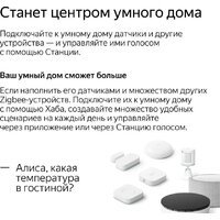 Яндекс Станция Мини 2 с часами (серый опал) Image #13