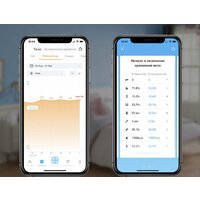 Picooc S3 Lite V2 Image #4