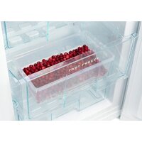 Snaige RF58NG-P7AHNF Image #9