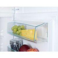 Snaige RF58NG-P7AHNF Image #5