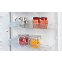 Snaige RF58NG-P7AHNF Image #13