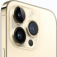 Apple iPhone 14 Pro 1TB (золотистый) Image #3