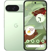 Google Pixel 9 12GB/256GB (винтергрин) Image #1