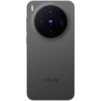 Vivo X300 V2515 16GB/512GB международная версия (черный) Image #2