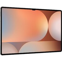 Samsung Galaxy Tab S10 Ultra Wi-Fi SM-X920 12GB/256GB (серебристый) Image #4